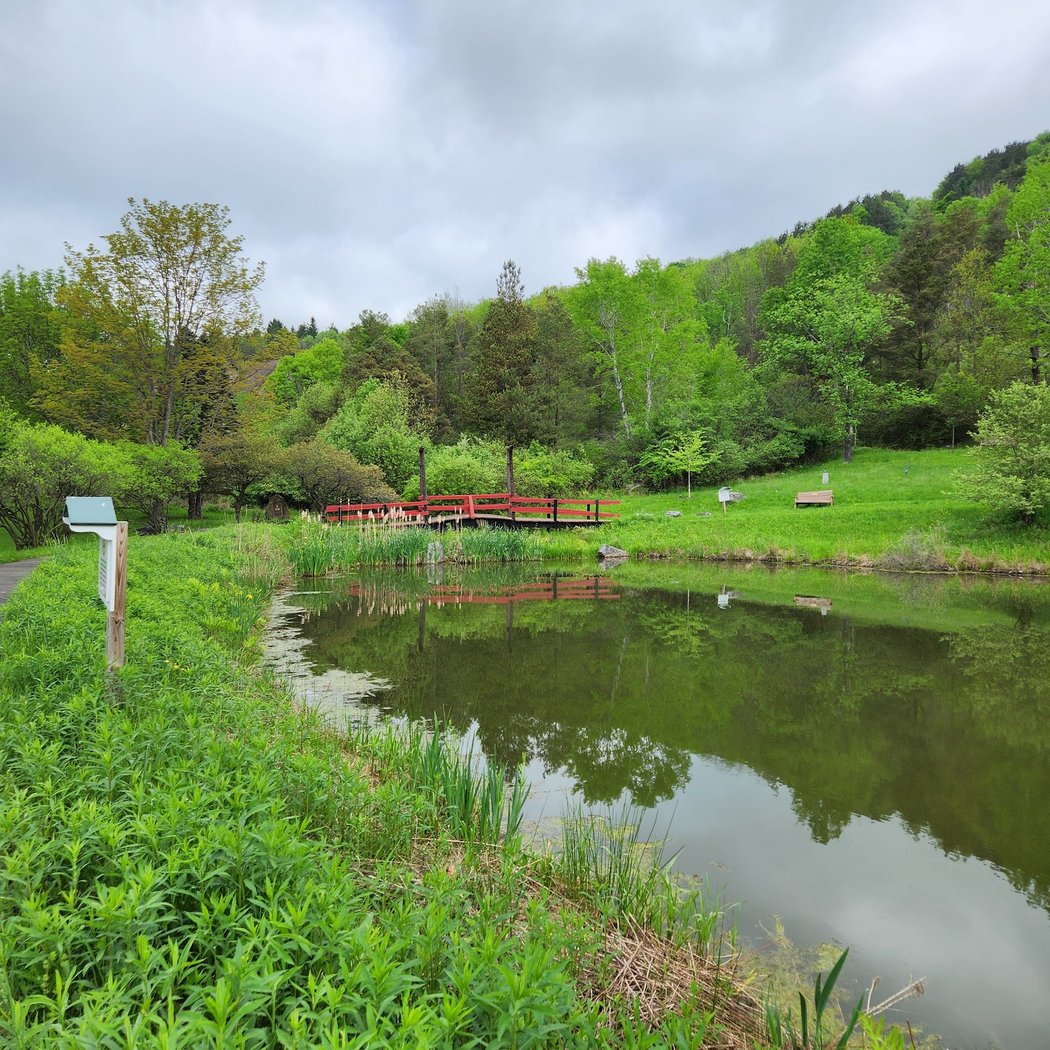 Nannen Arboretum 3