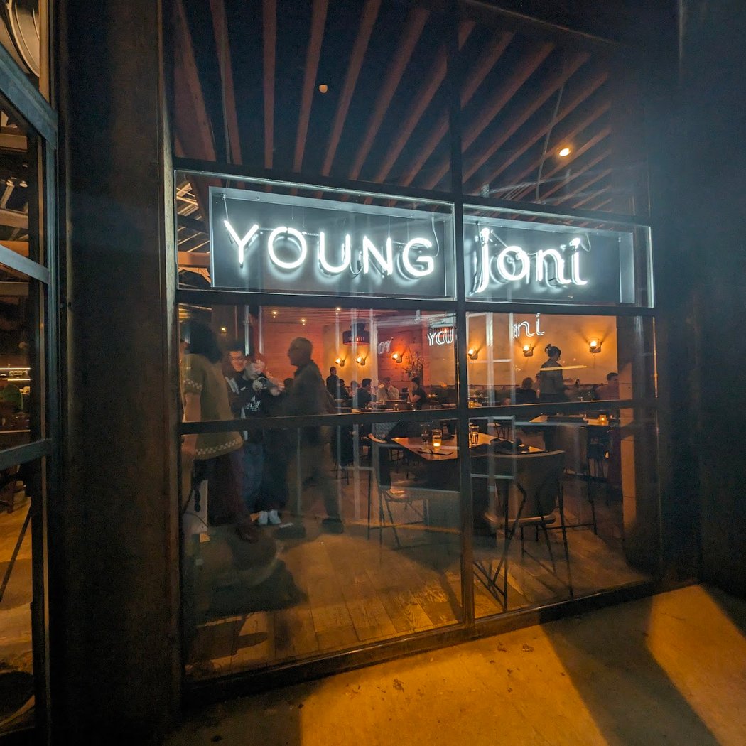 Young Joni 3