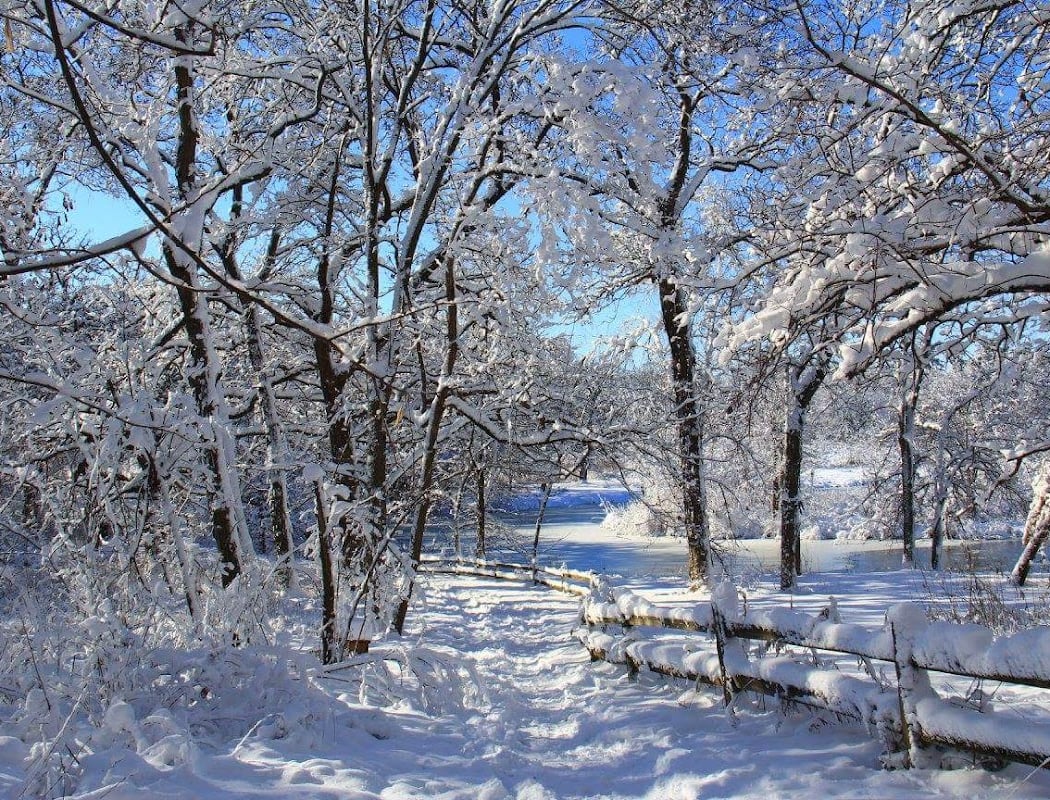 Crabtree Nature Center 1