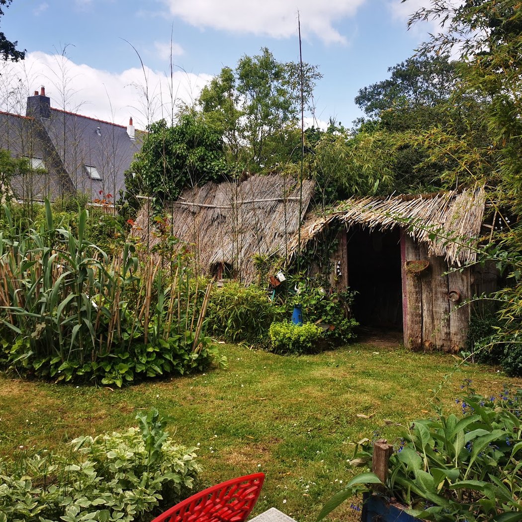 Troc plantes 1
