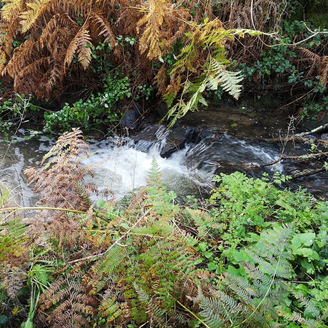Saint-Herblain 3