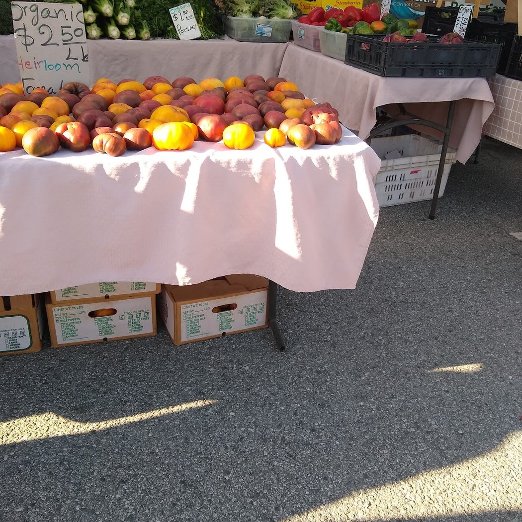 Pacifica Coastside Farmers Market 4