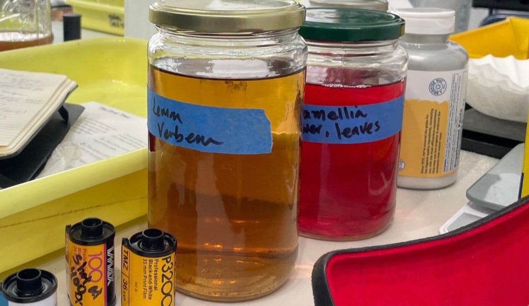 Film Processing with Plant-Based Developer 3