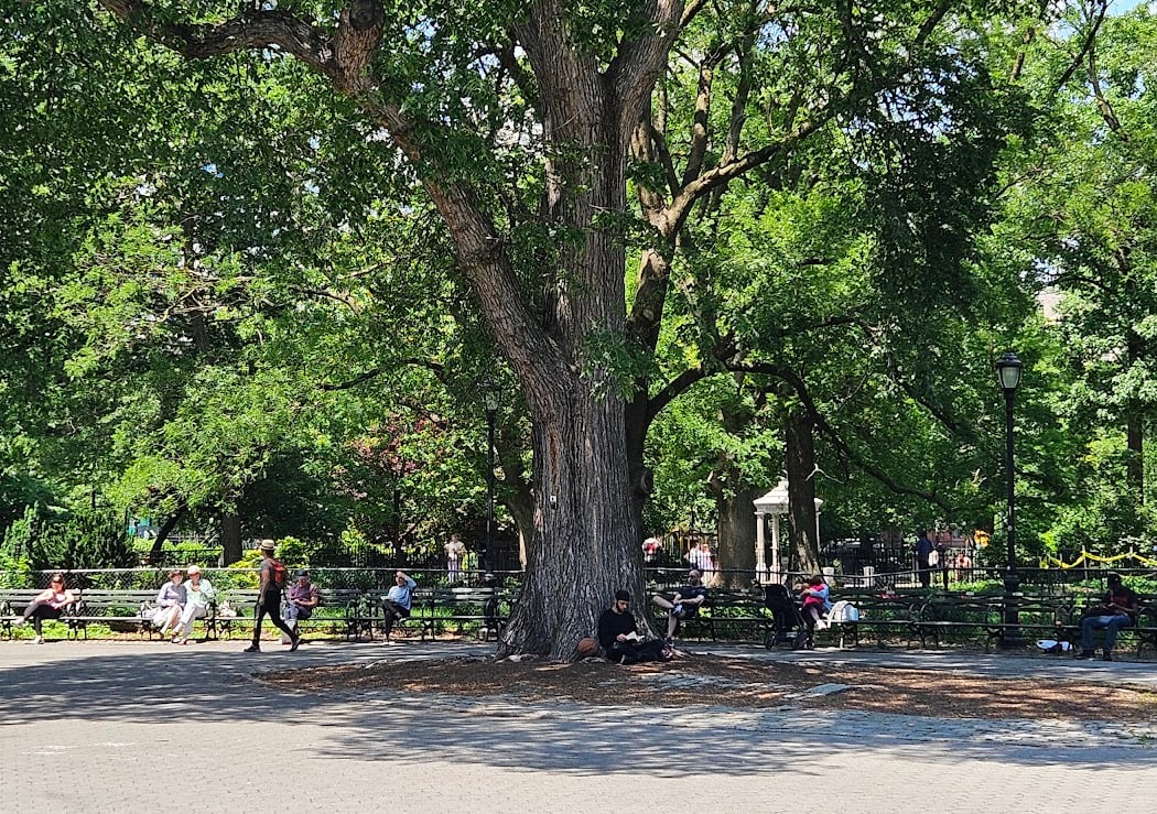 Hare Krishna Tree 3