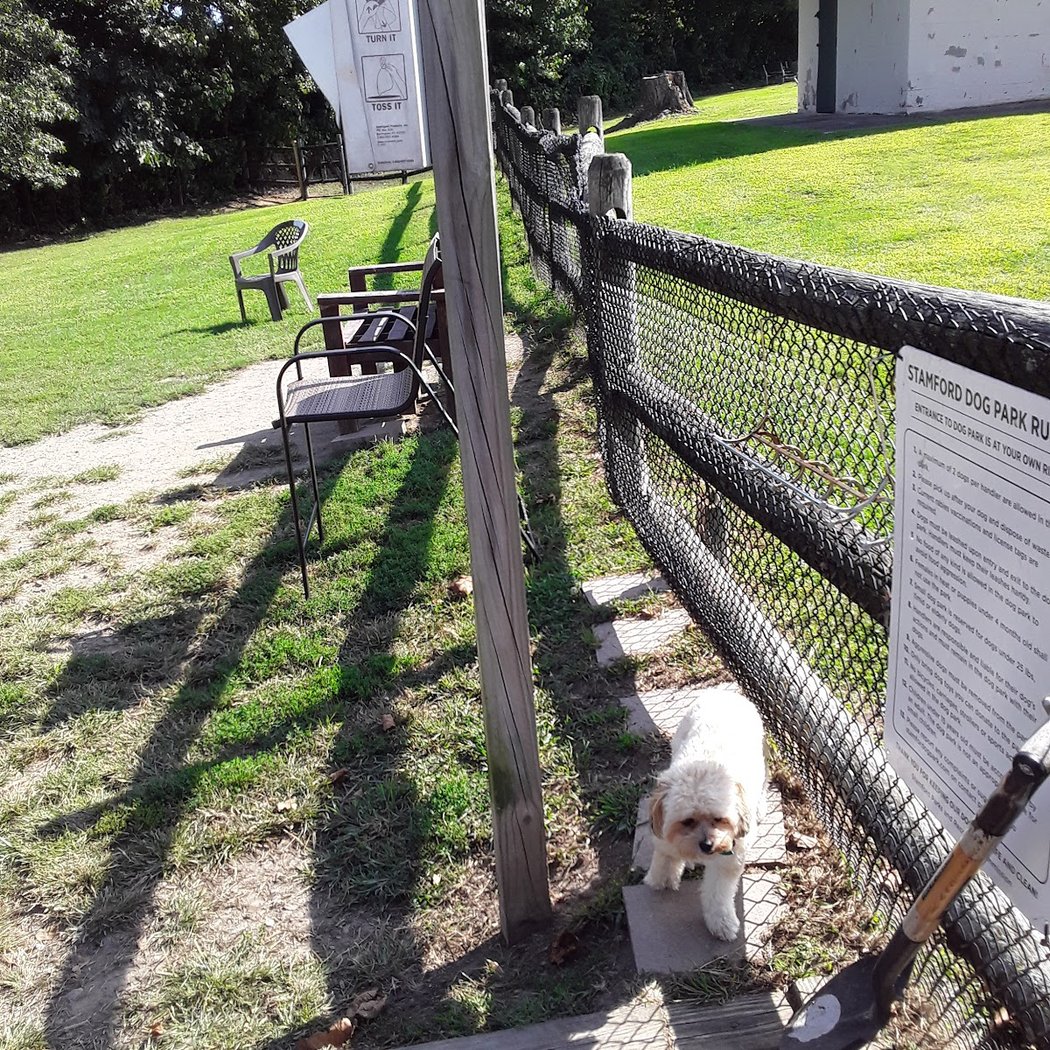 Stamford Dog Park 2