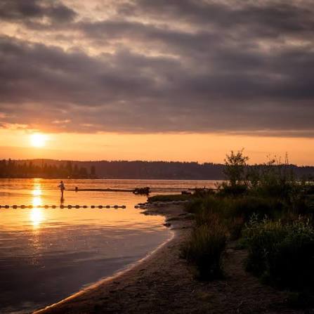 Lake Sammamish State Park 2