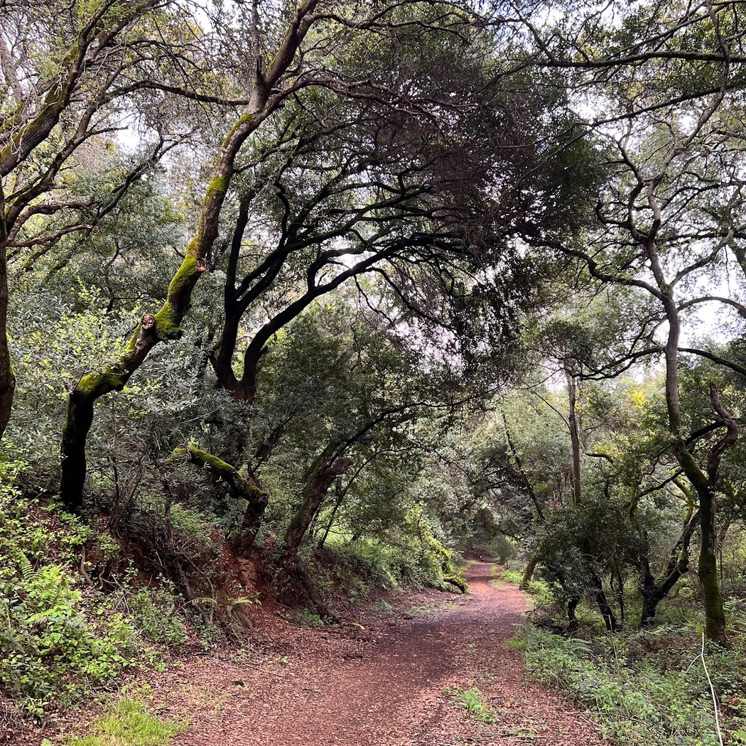 Leona Canyon Trail Head 3