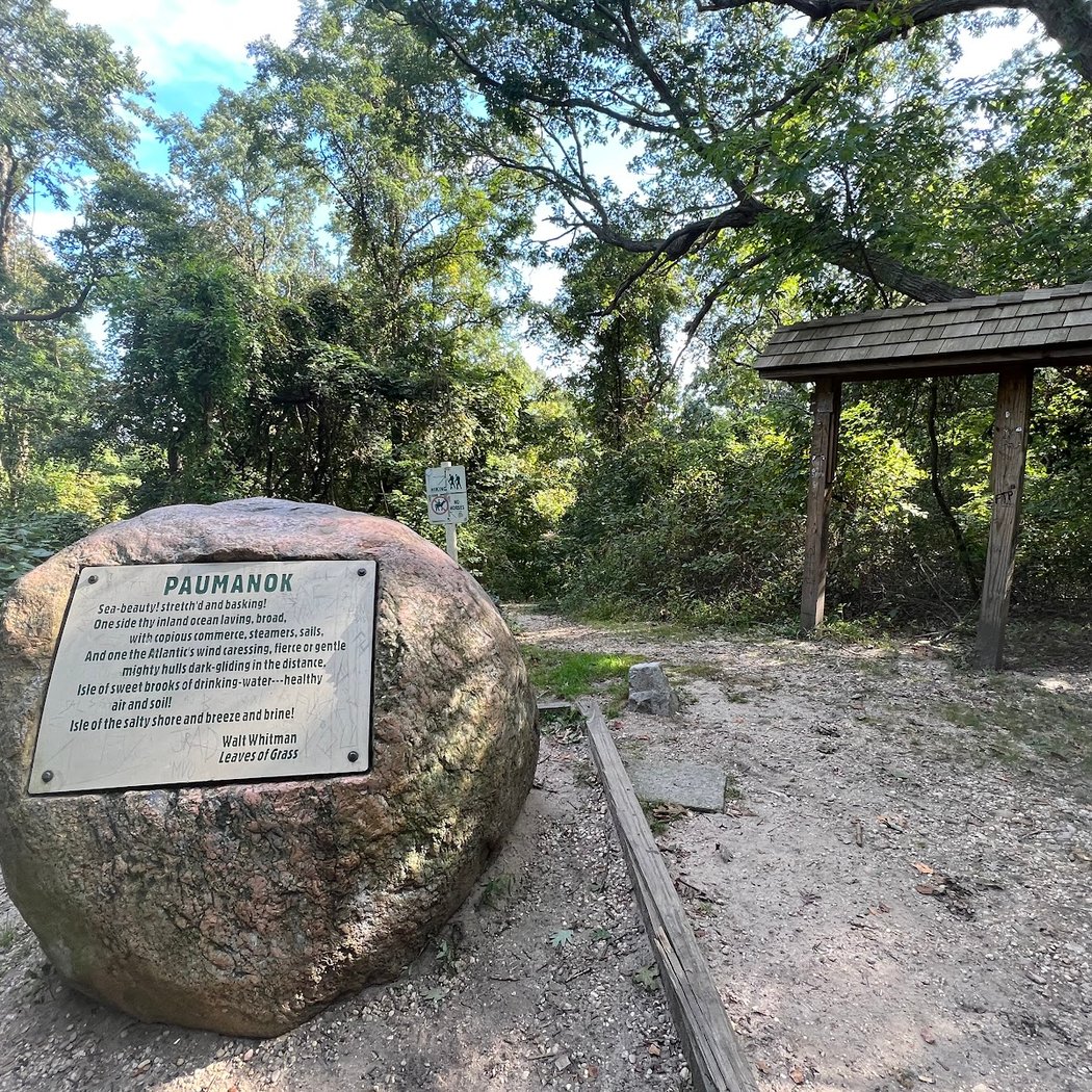 Jayne's Hill 1