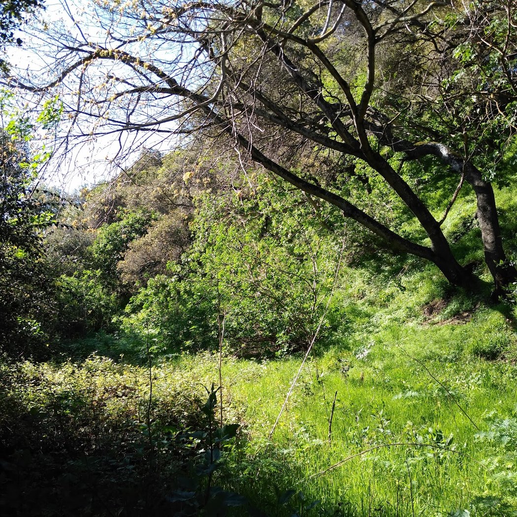 McCrea Memorial Park 2