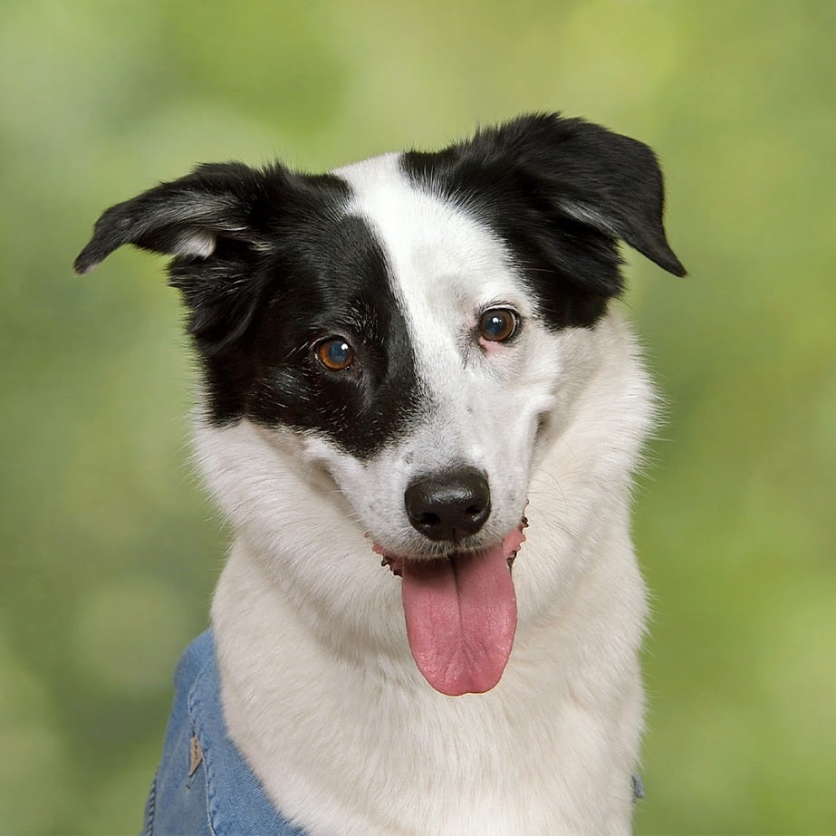 JCPenney Portraits 3
