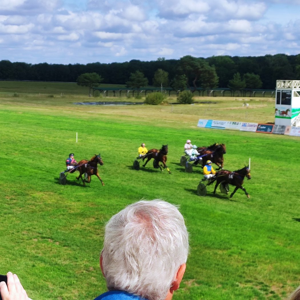 Journée de courses hippiques 1