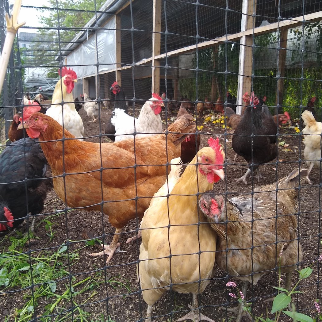 Edgemere Farm 3