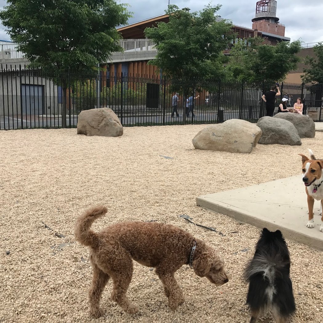 Marsha P. Johnson State Park Dog Run 2