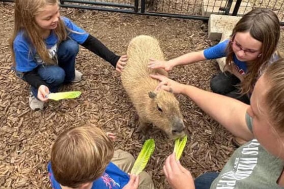 Live Animal Talks at Jakes Branch County Park