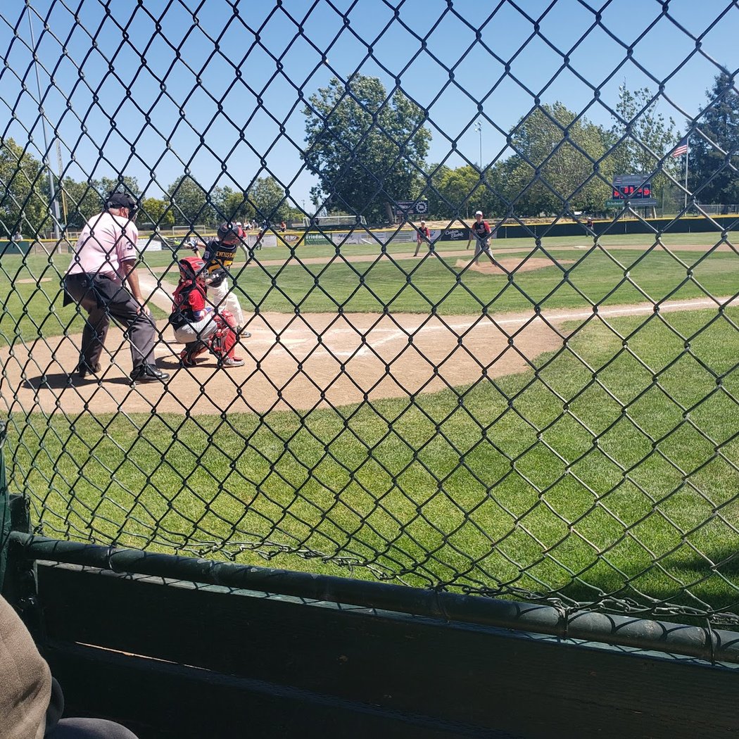 Petaluma American Little League 2