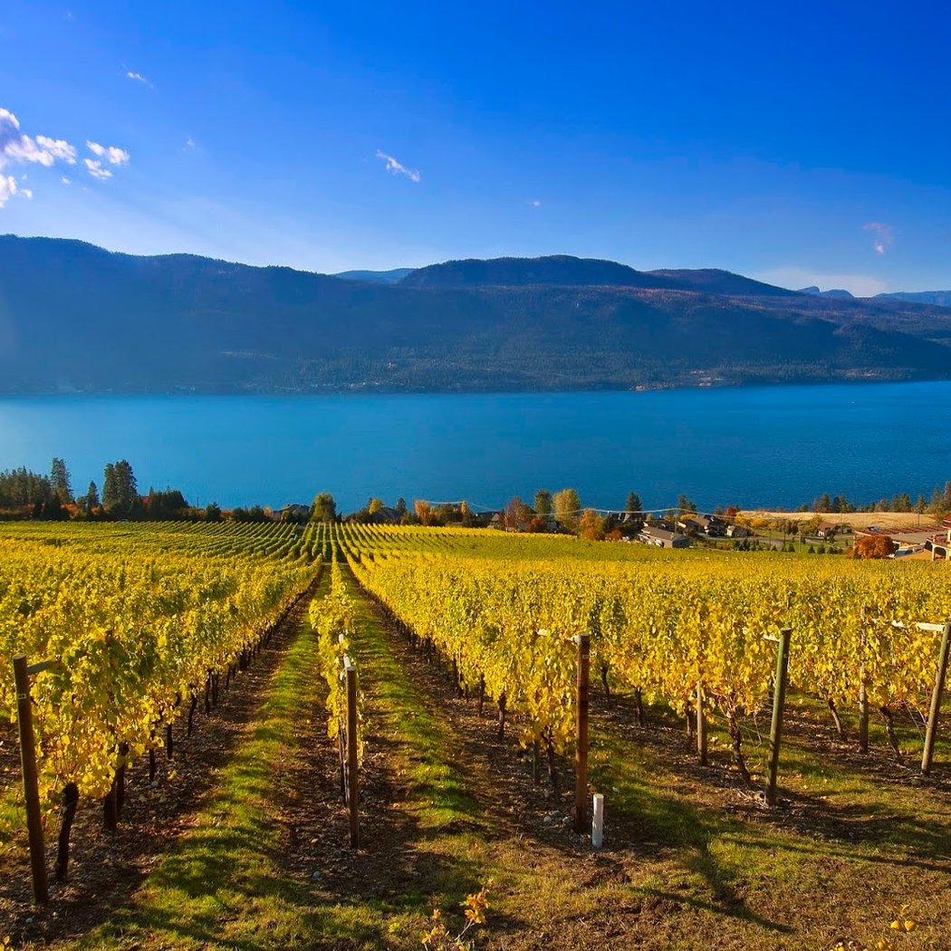 Gray Monk Estate Winery 1