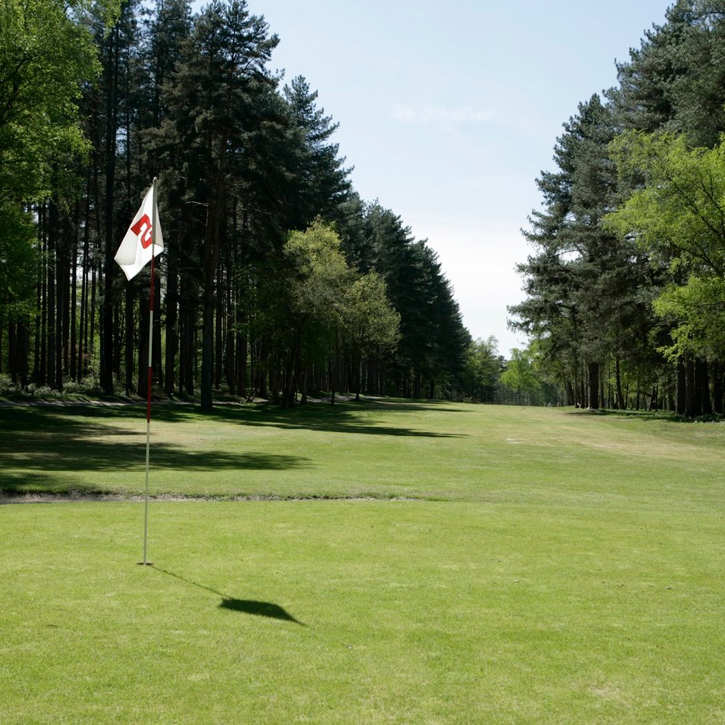 Golf Sologne 2