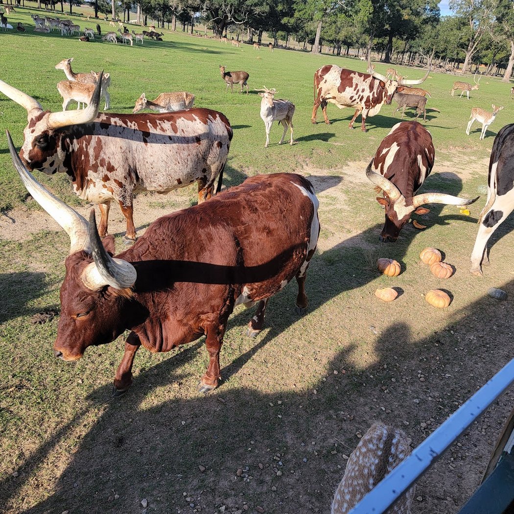 Global Wildlife Center 3