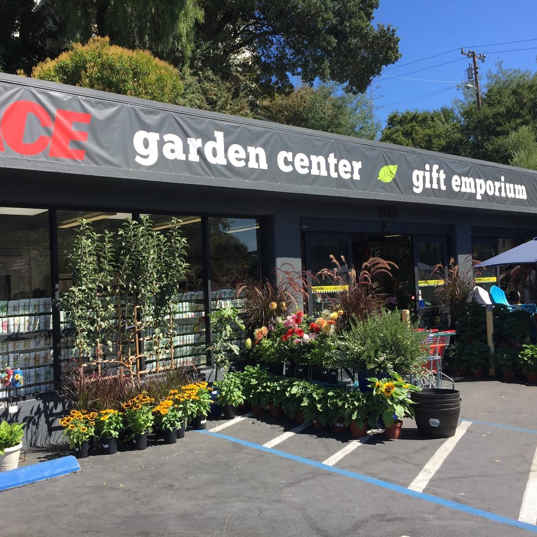Chase Ace Hardware Garden & Gift Emporium 2