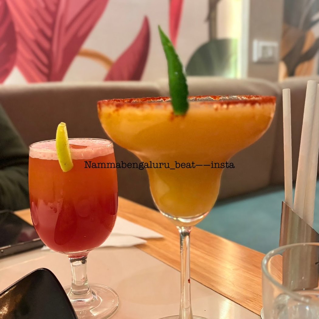 Thyme & Whisk | Vegetarian Restaurant in Jayanagar Bangalore 3