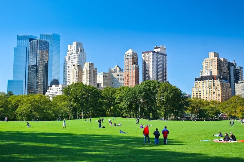 Knights Battle in Central Park 4