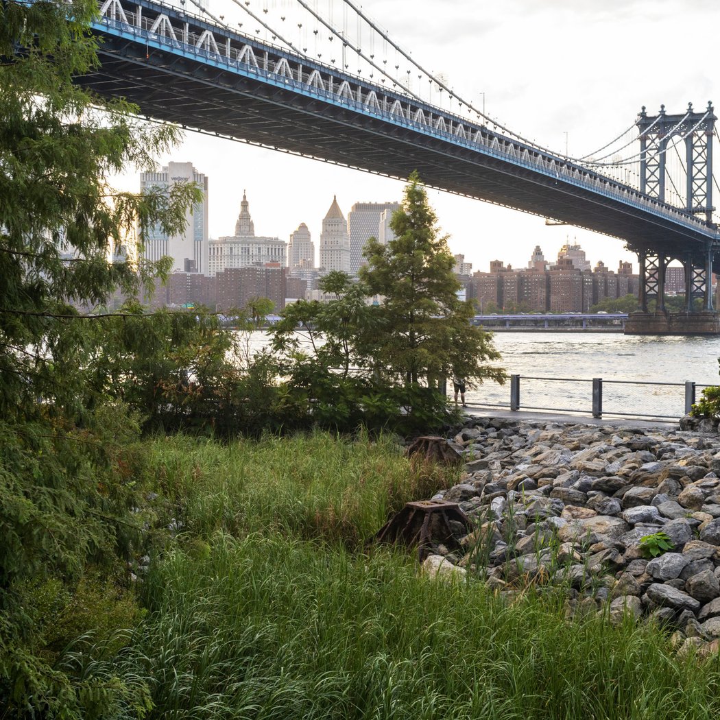 John Street Park 2