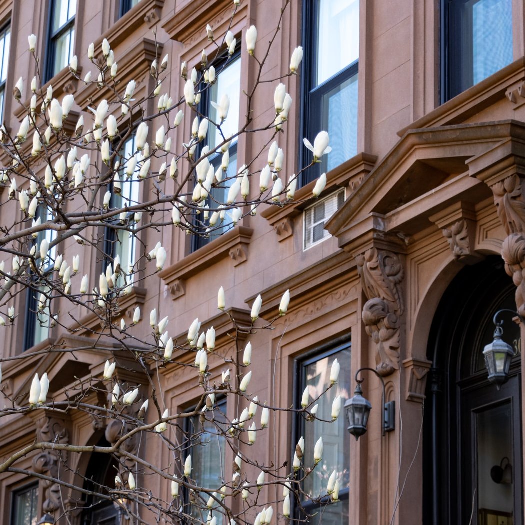 Clinton Hill South Historic District 2