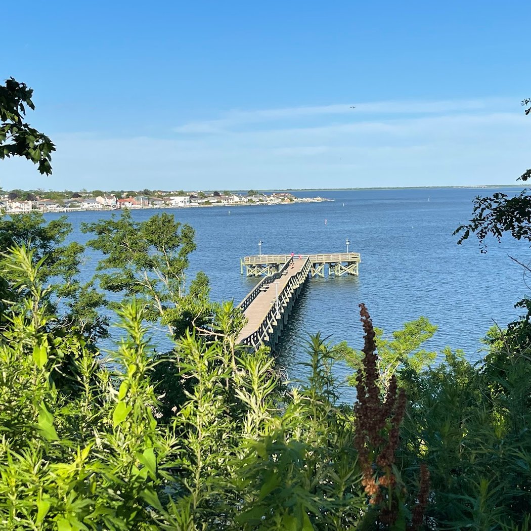 Norman J. Levy Park & Preserve 3