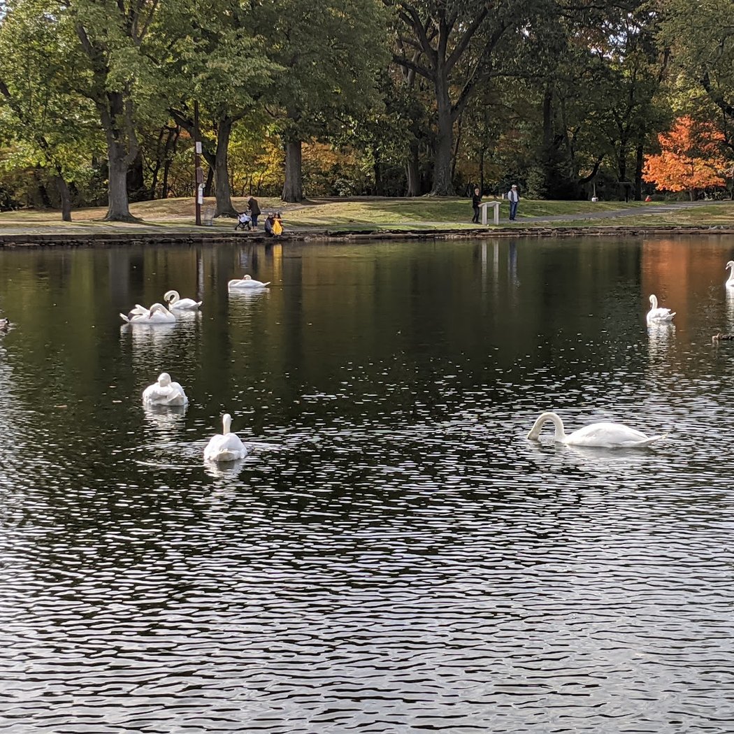 McDonald Pond 2