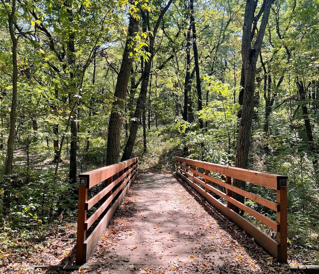 Brown's Woods 2