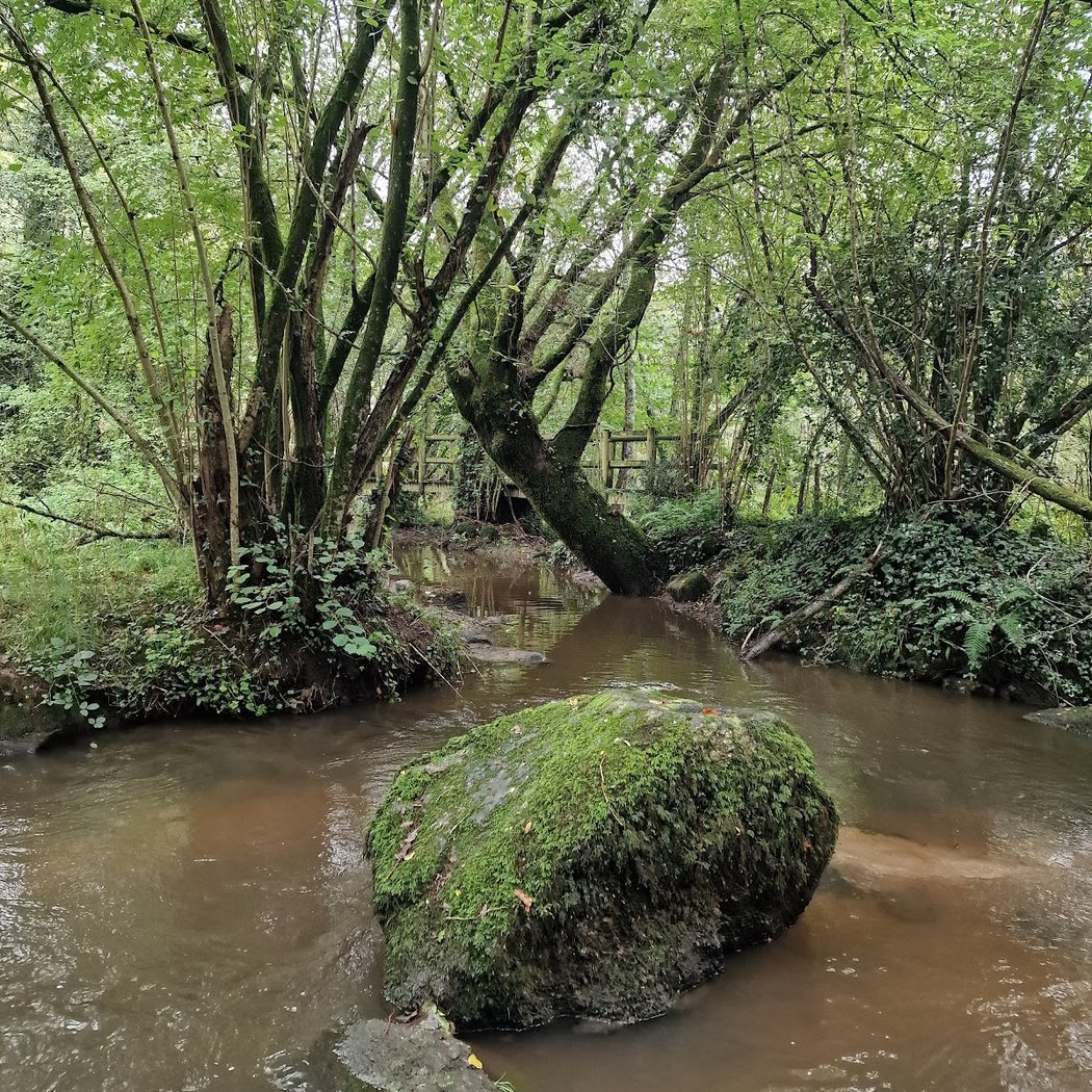 Pont - Barbotiere 2