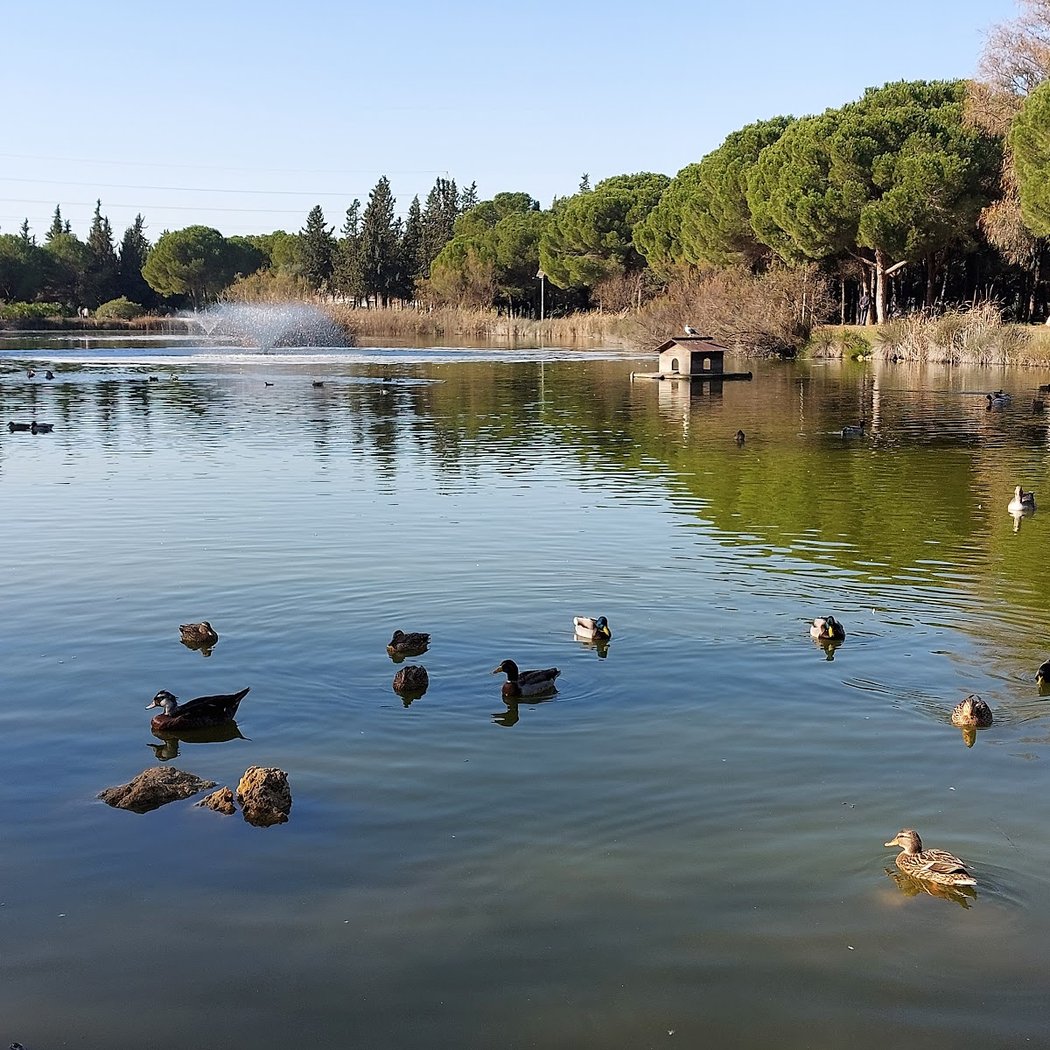 Parque Infanta Elena 2