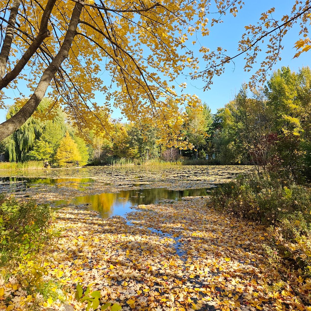 First Nations Garden 2