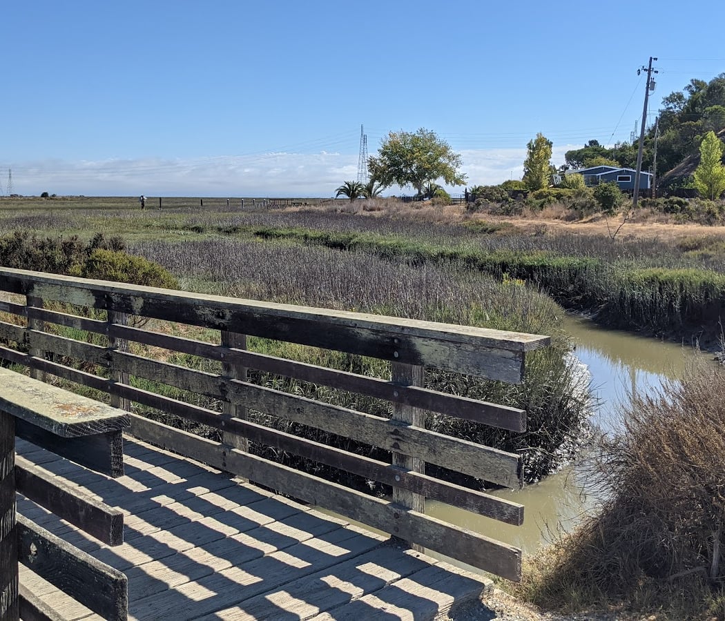 Santa Venetia Marsh Preserve 1