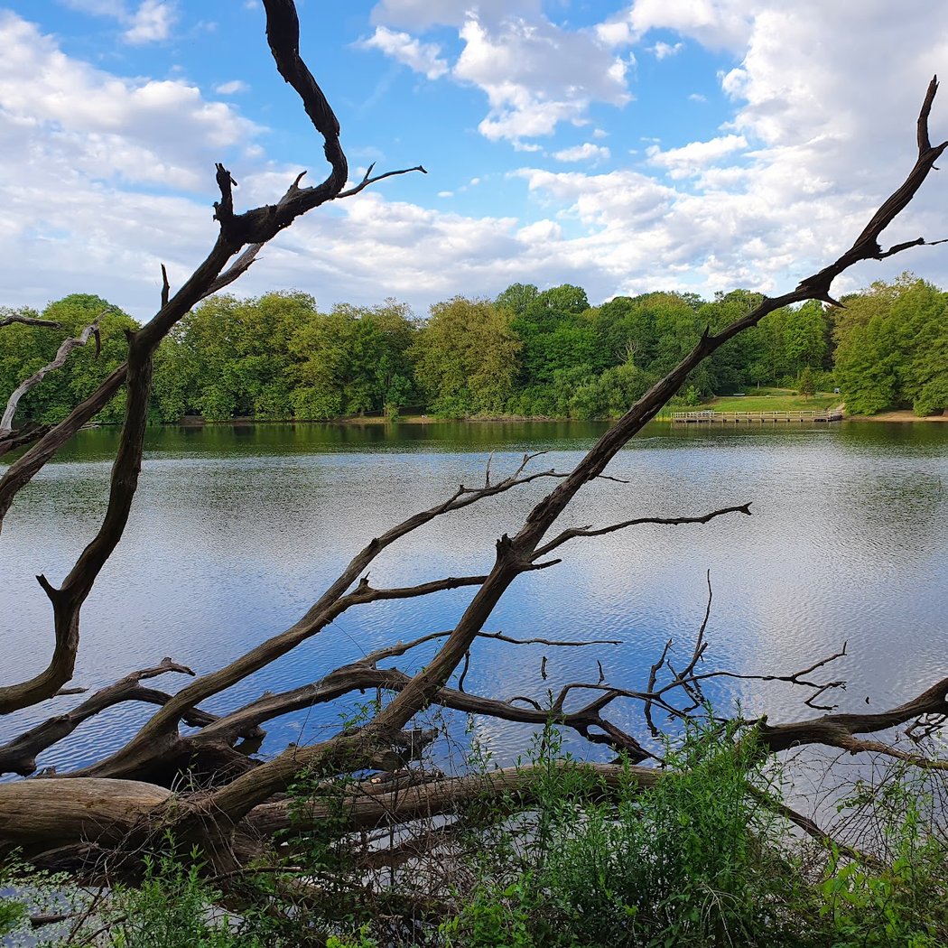 Lac Marion 3