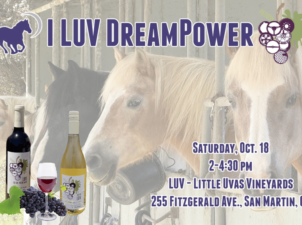 I LUV DreamPower 1