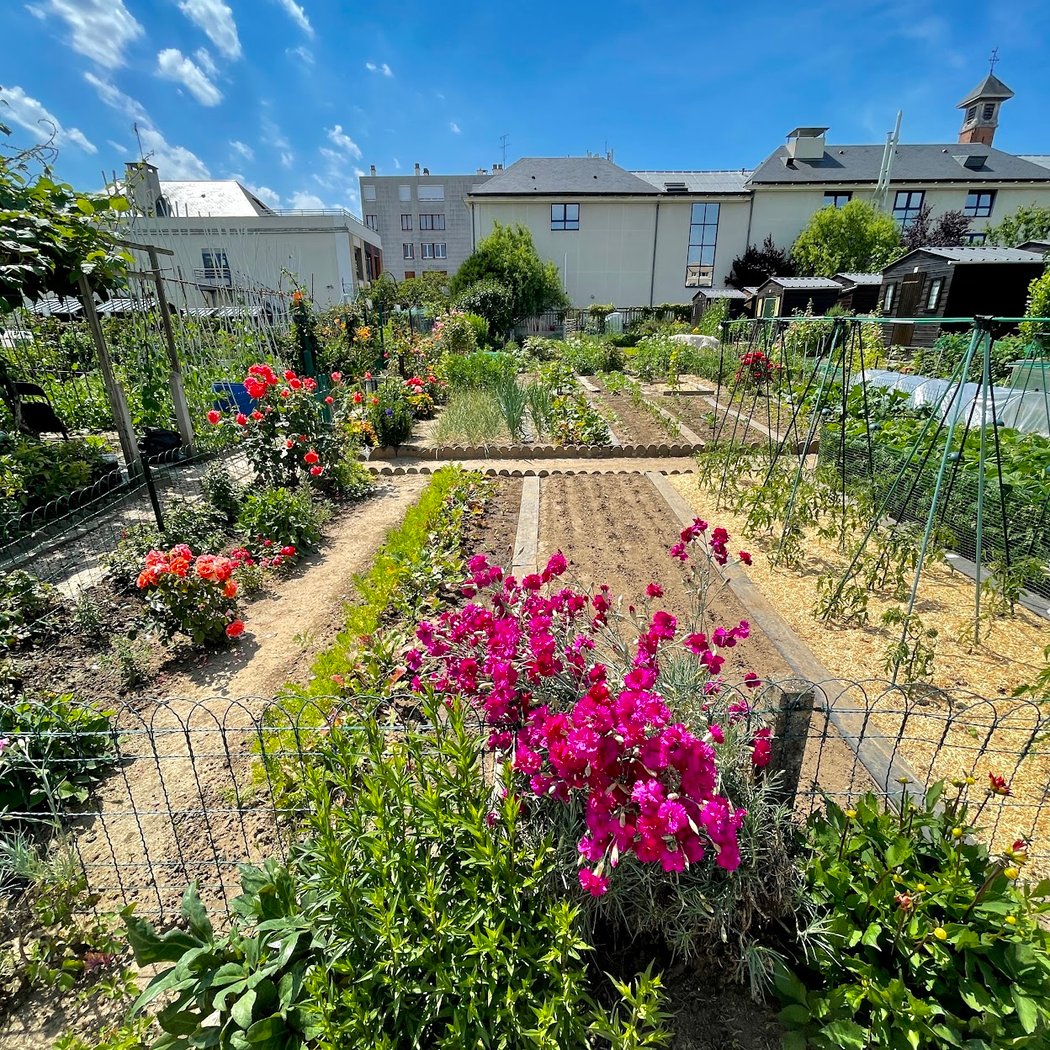 Jardins Familiaux De Montreuil Versailles 5