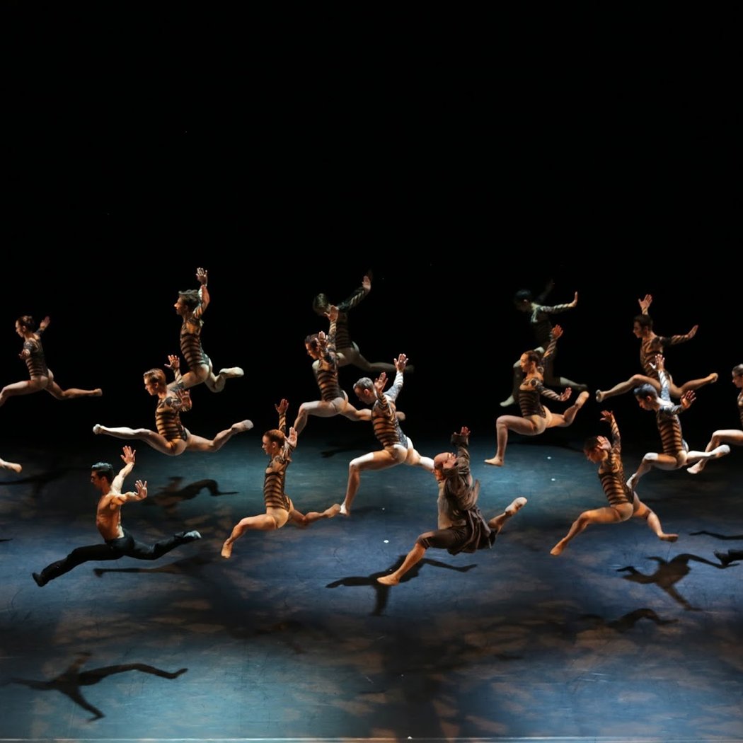 Malandain Ballet Biarritz 3