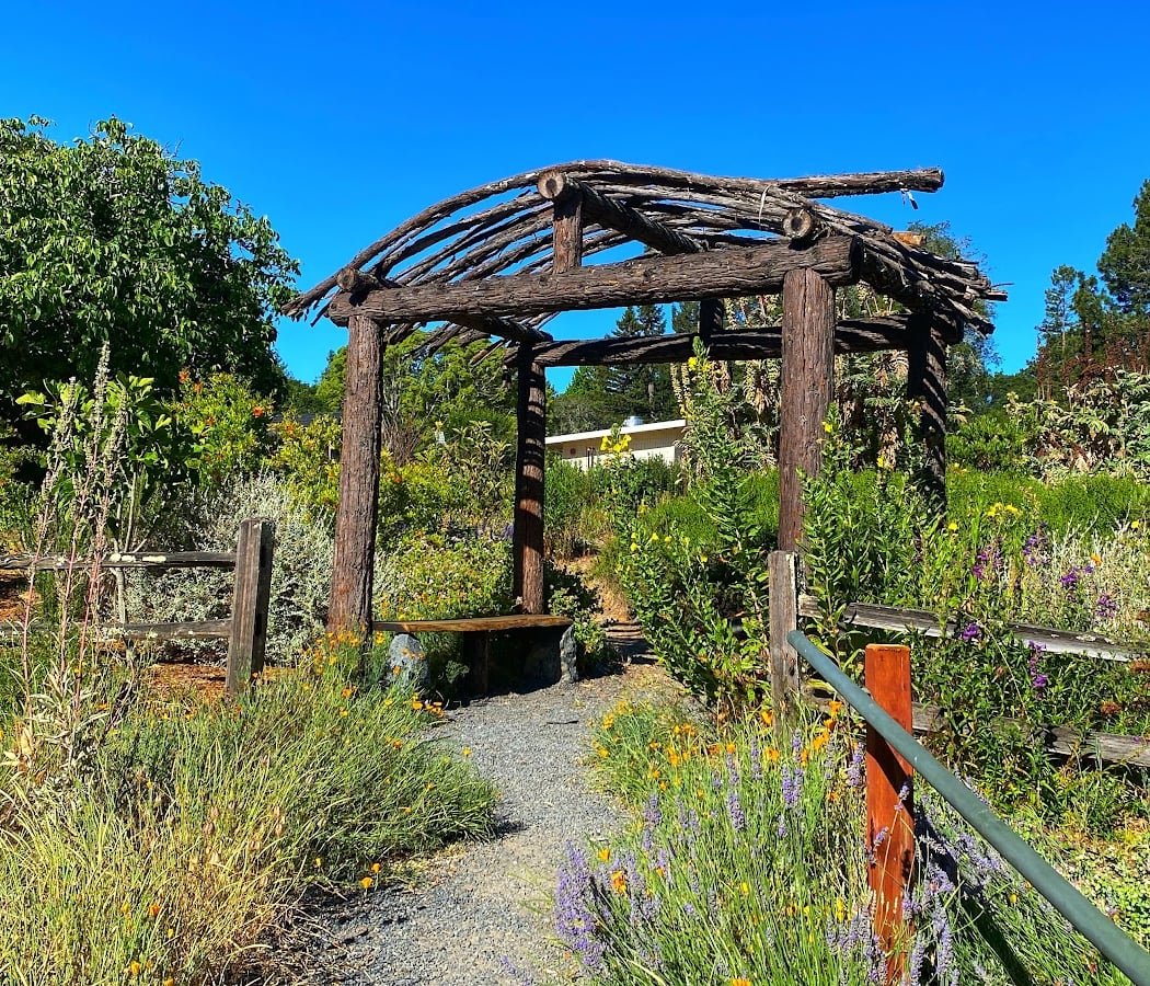 The Playground 3