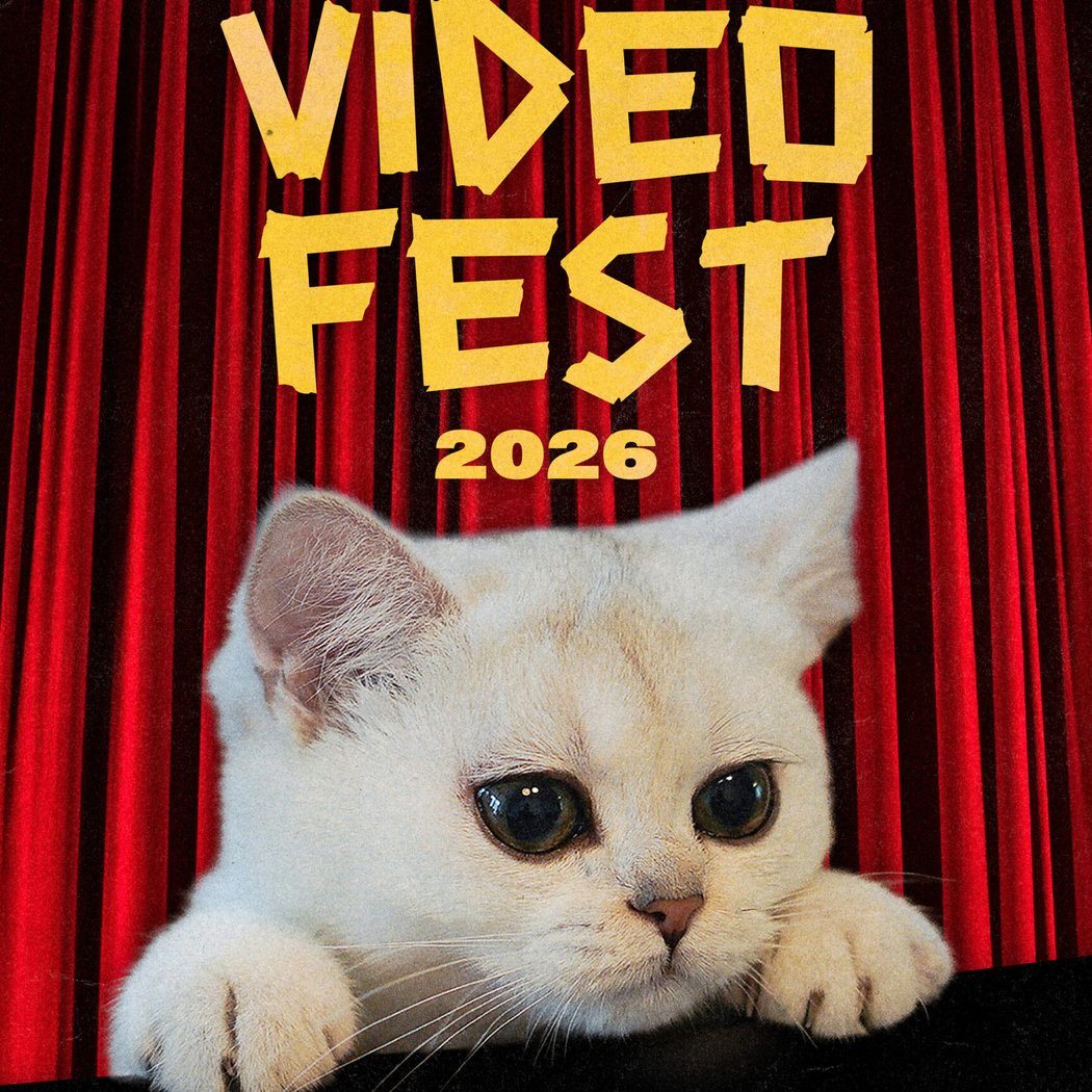 CatVideoFest 2026 1
