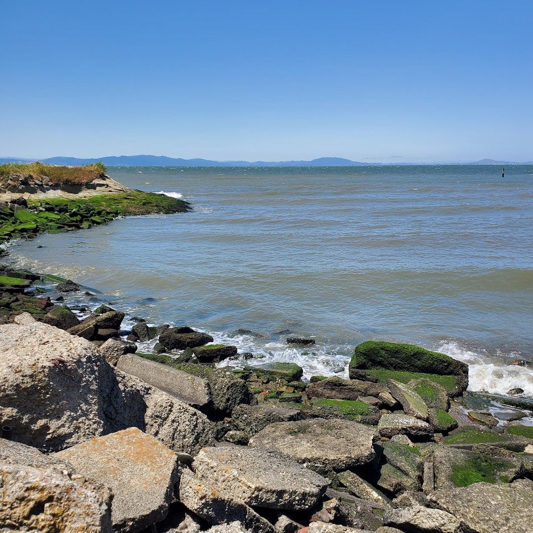 Lone Tree Point 3