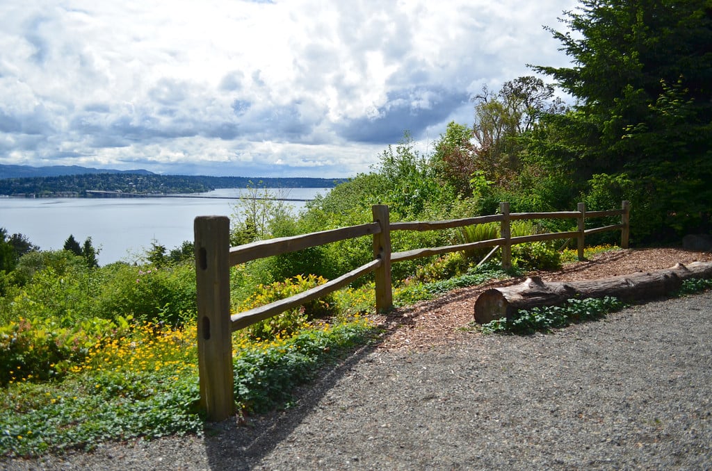 Leschi-Lake Dell Natural Area Restoration 3