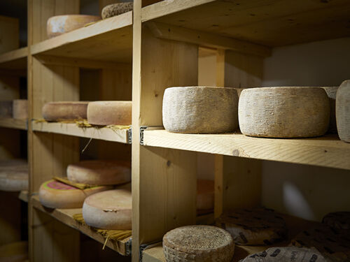 COW - Cheese of the World 1