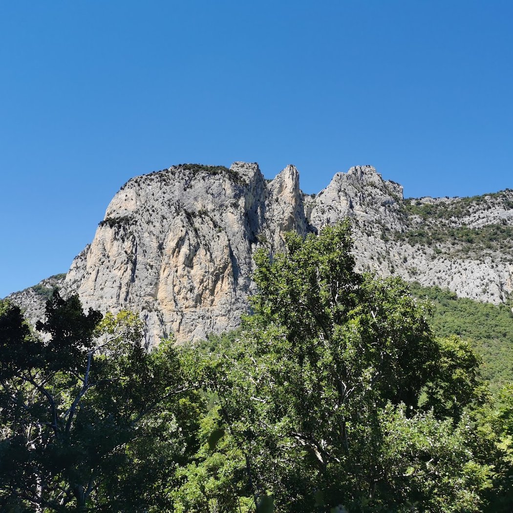 Forêt de Saou 3