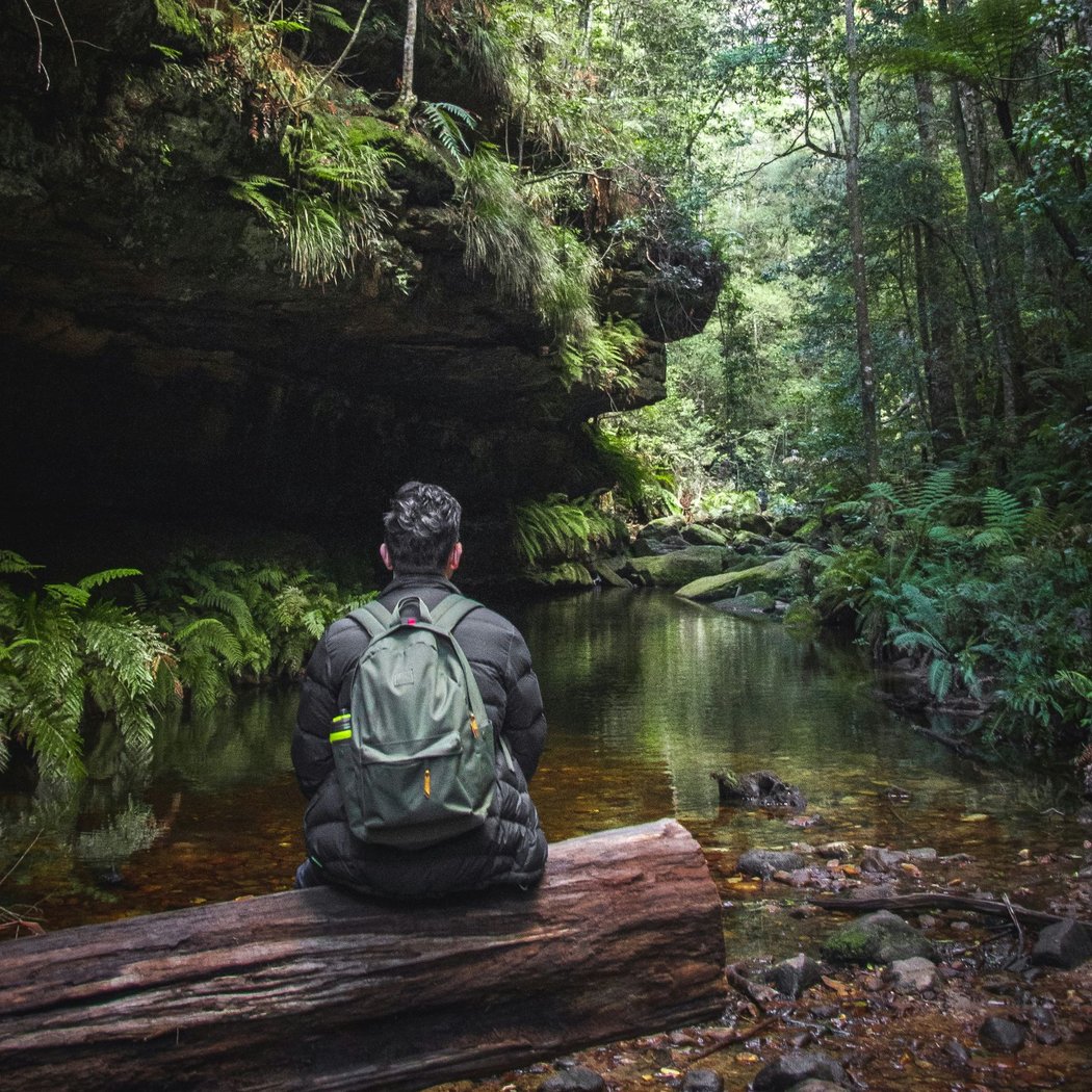 Discover Forest Bathing 4