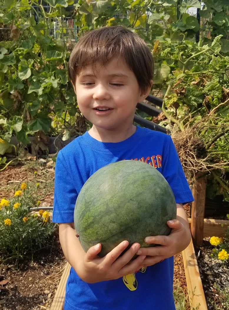 City of American Canyon Community Garden 1