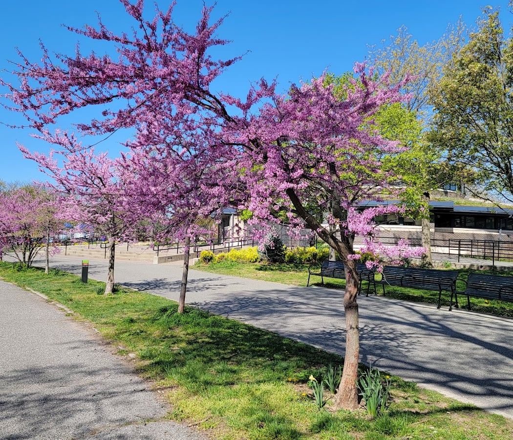 Marine Park Active Adults and Senior Center 3