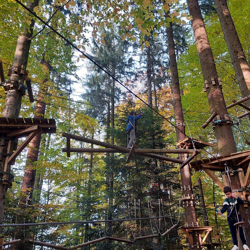 Adventure Park - Signal de Bougy 3