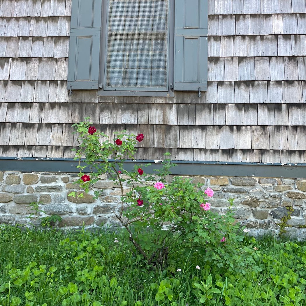 Flushing Friends Quaker Meeting House 2