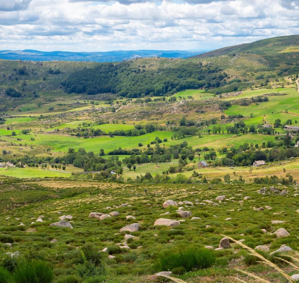 Mont Lozère 2